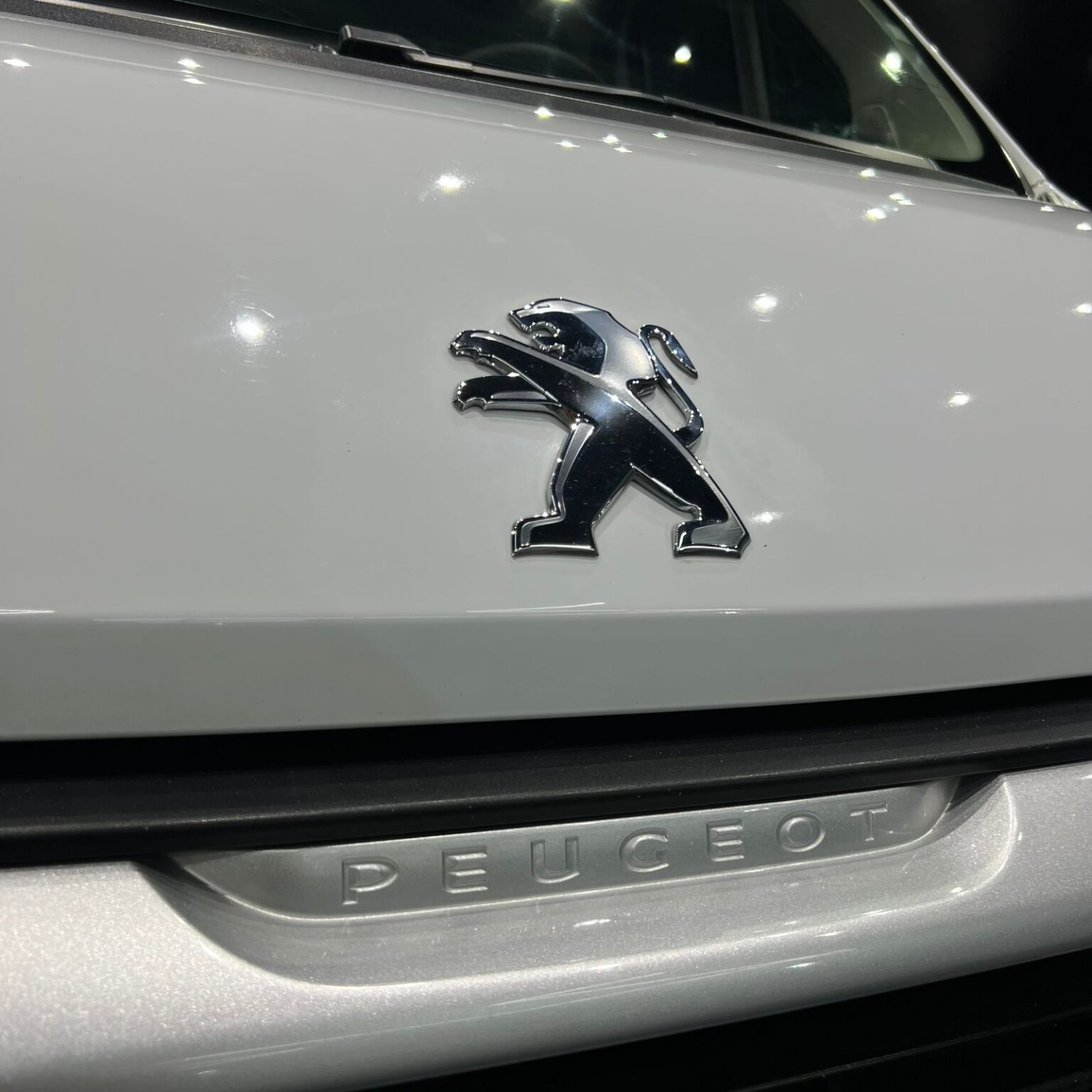 PEUGEOT MANAGER 2022 - Image 7