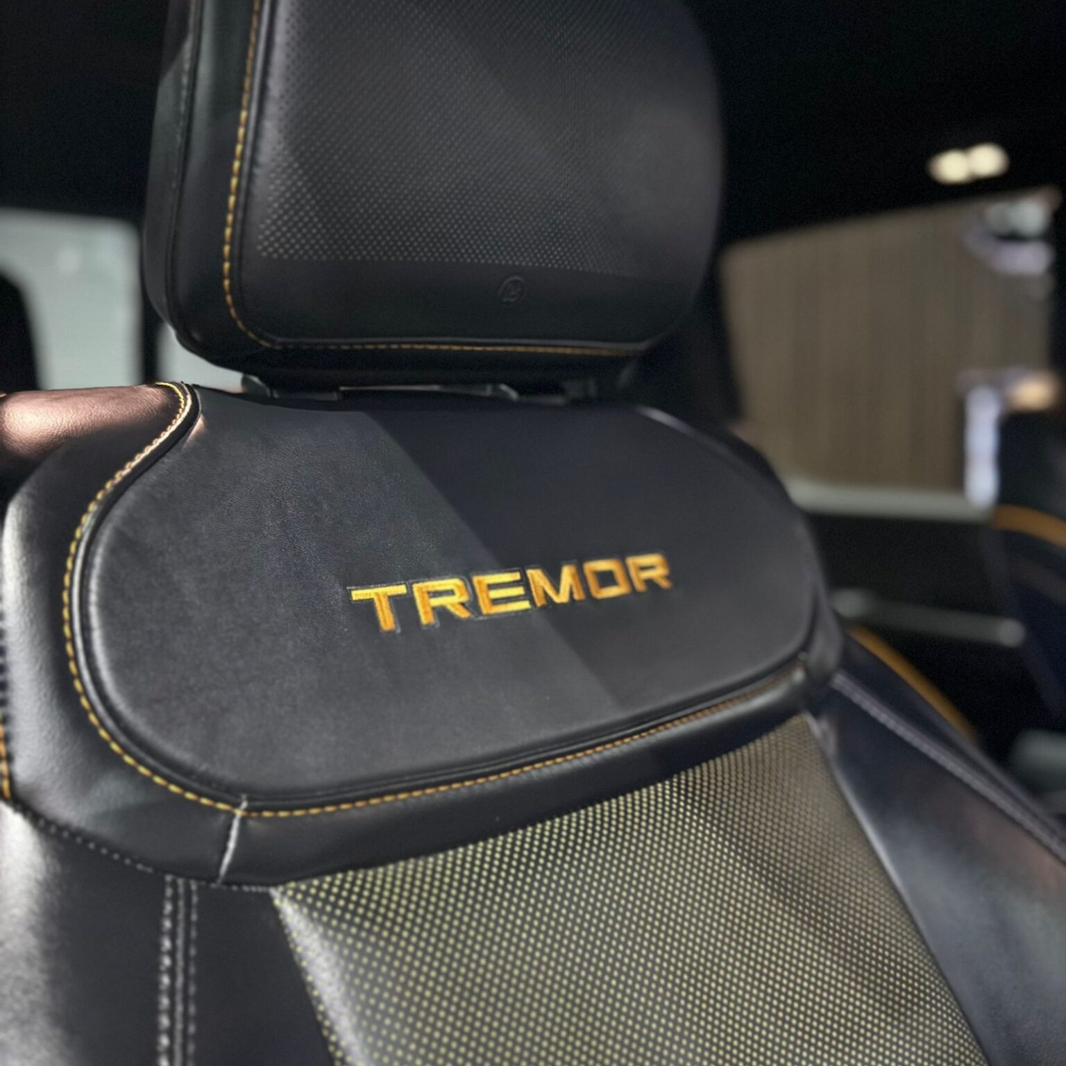 FORD LOBO TREMOR 2023 - Image 15