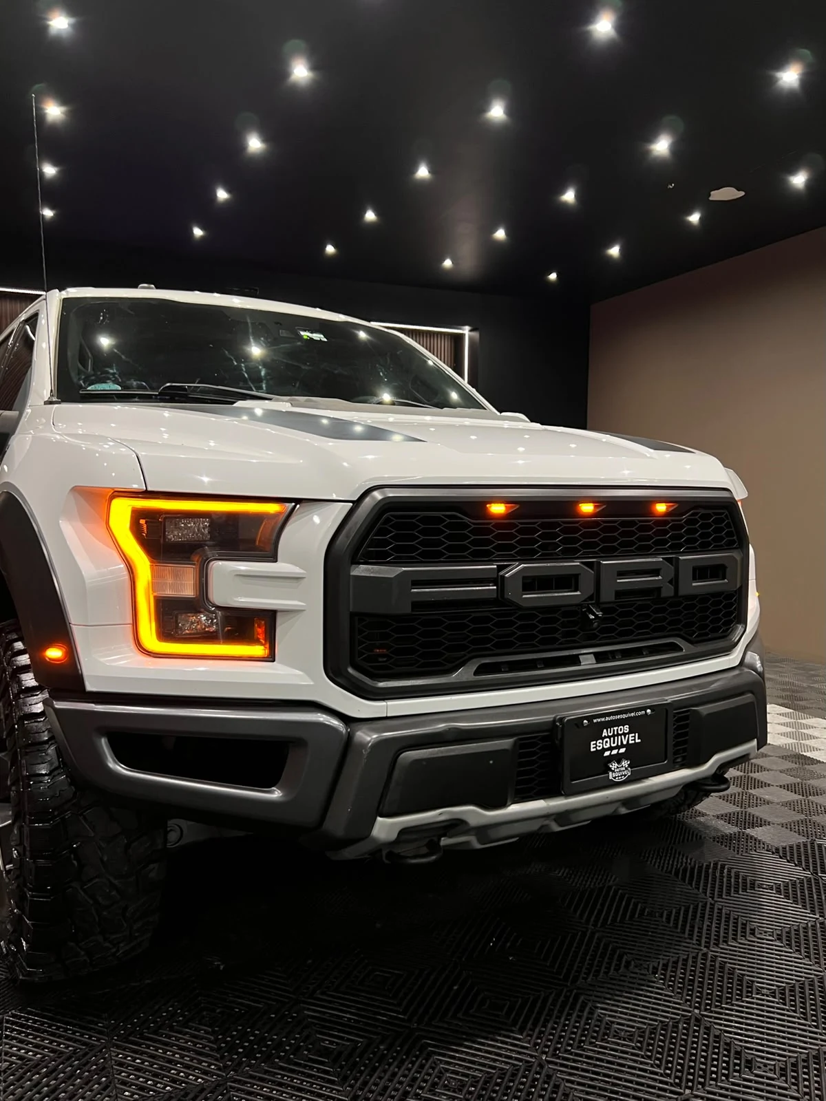 Ford LOBO RAPTOR 2018 - imagen 8
